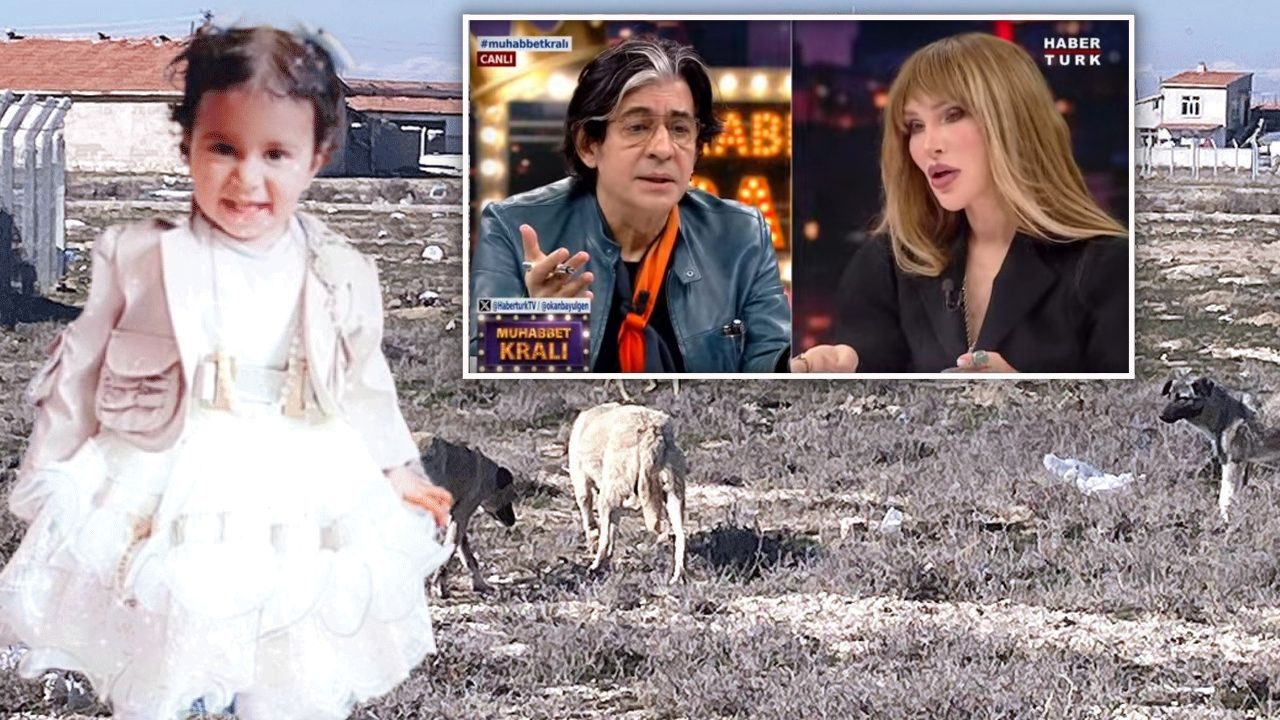 Karatay'da ölüm, canlı yayında propaganda! Sokak köpeklerinin öldürdüğü Rana'nın acısı dinmeden Okan Bayülgen ve Seren Serengil'in 'Yasa geri çekilmeli' çıkışı tepki topladı!