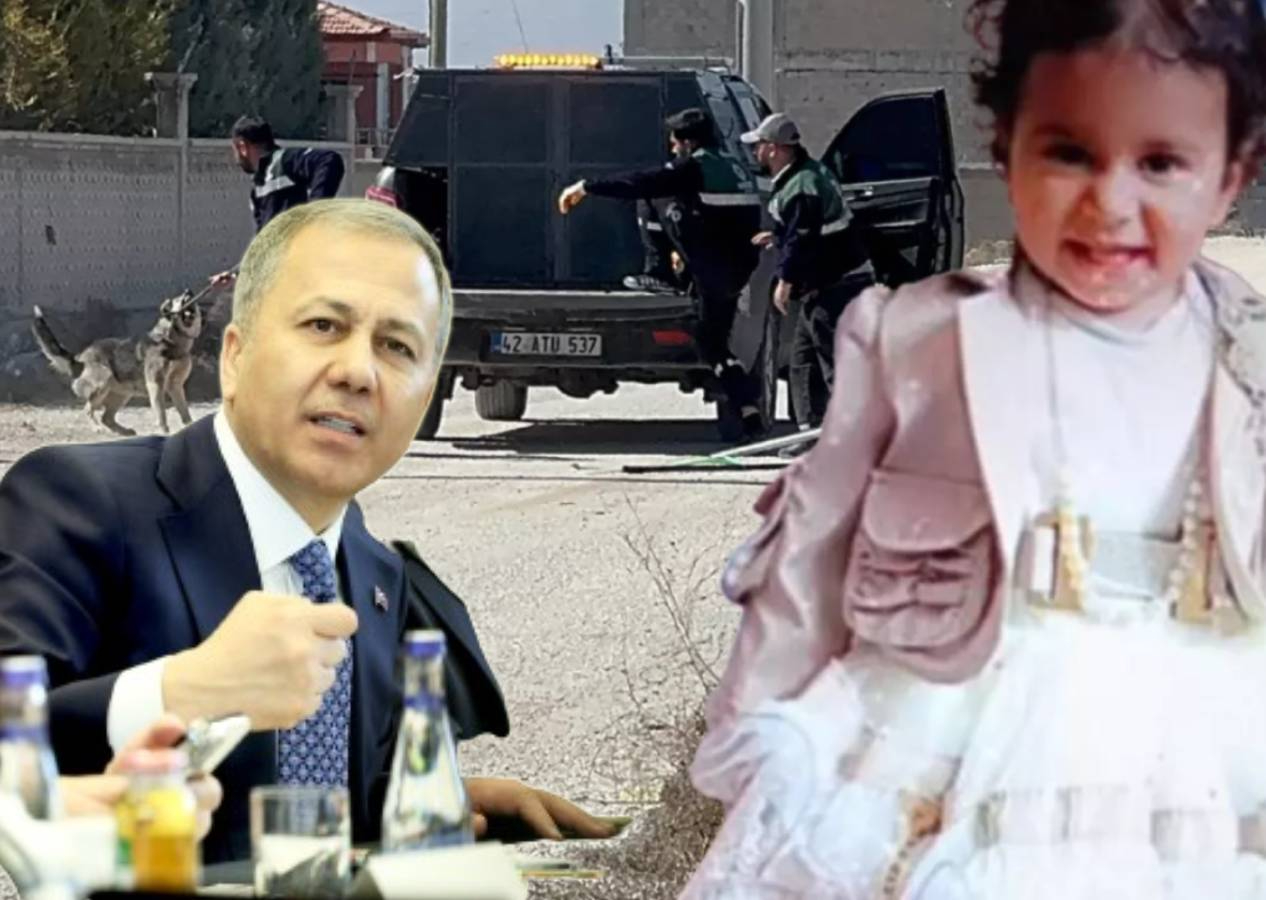 Sokak köpekleri toplatılıyor; Konya'daki vahşet bardağı taşırdı Bakan Yerlikaya düğmeye bastı