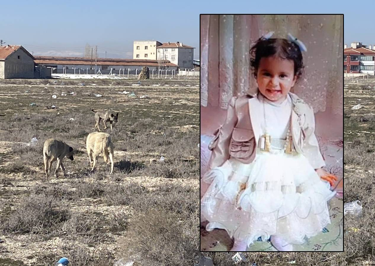 Konya'da köpeklerin katlettiği 2 yaşındaki Rana'nın otopsi raporu çıktı: Boyun ve omuzunda köpek ısırıkları var