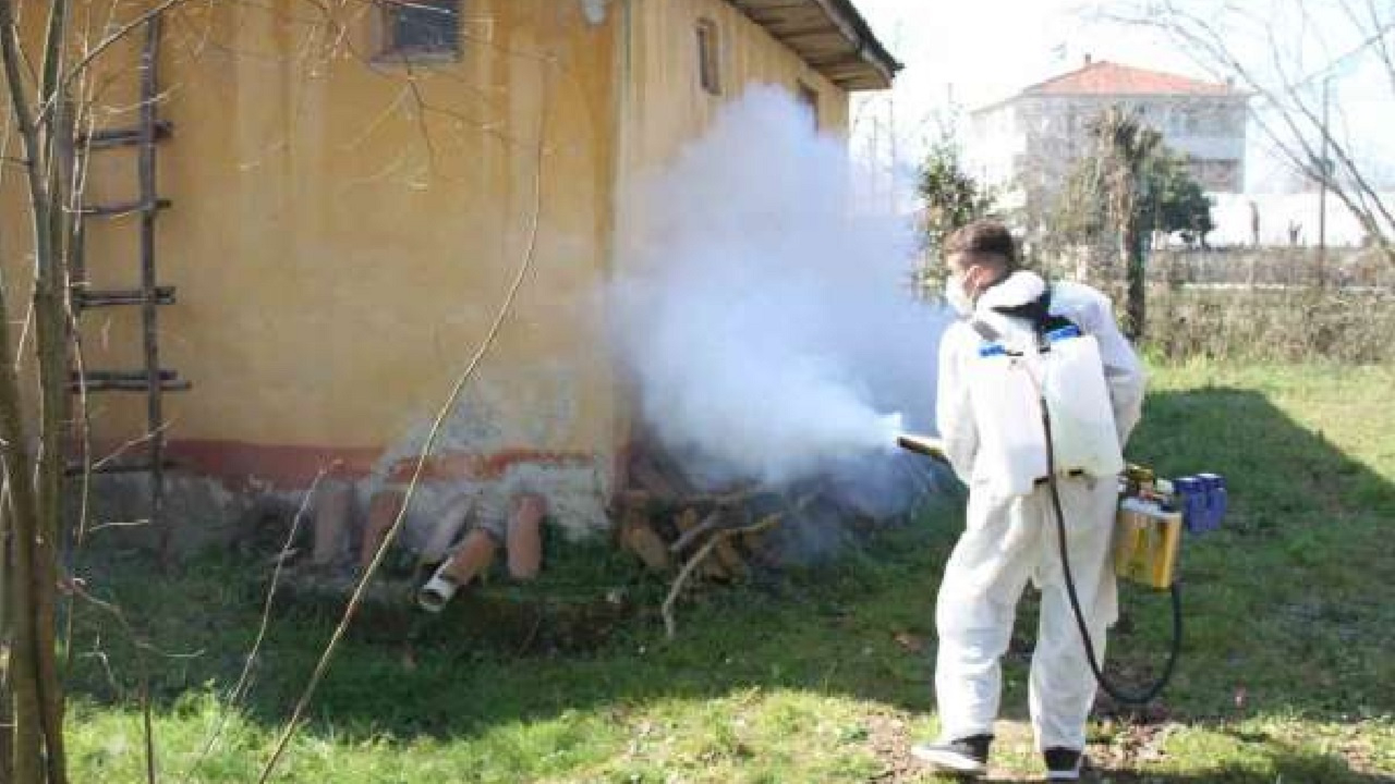Kahverengi kokarca kabus olmuştu! Samsun Çarşamba’da mahalleler ilaçlanıyor
