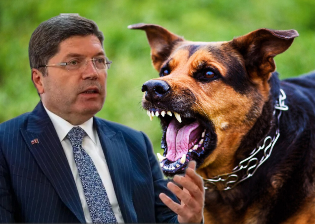 Belediyelere başıboş köpek uyarısı! Bakan Tunç duyurdu: Hukuki ve cezai işlemler uygulanacak!