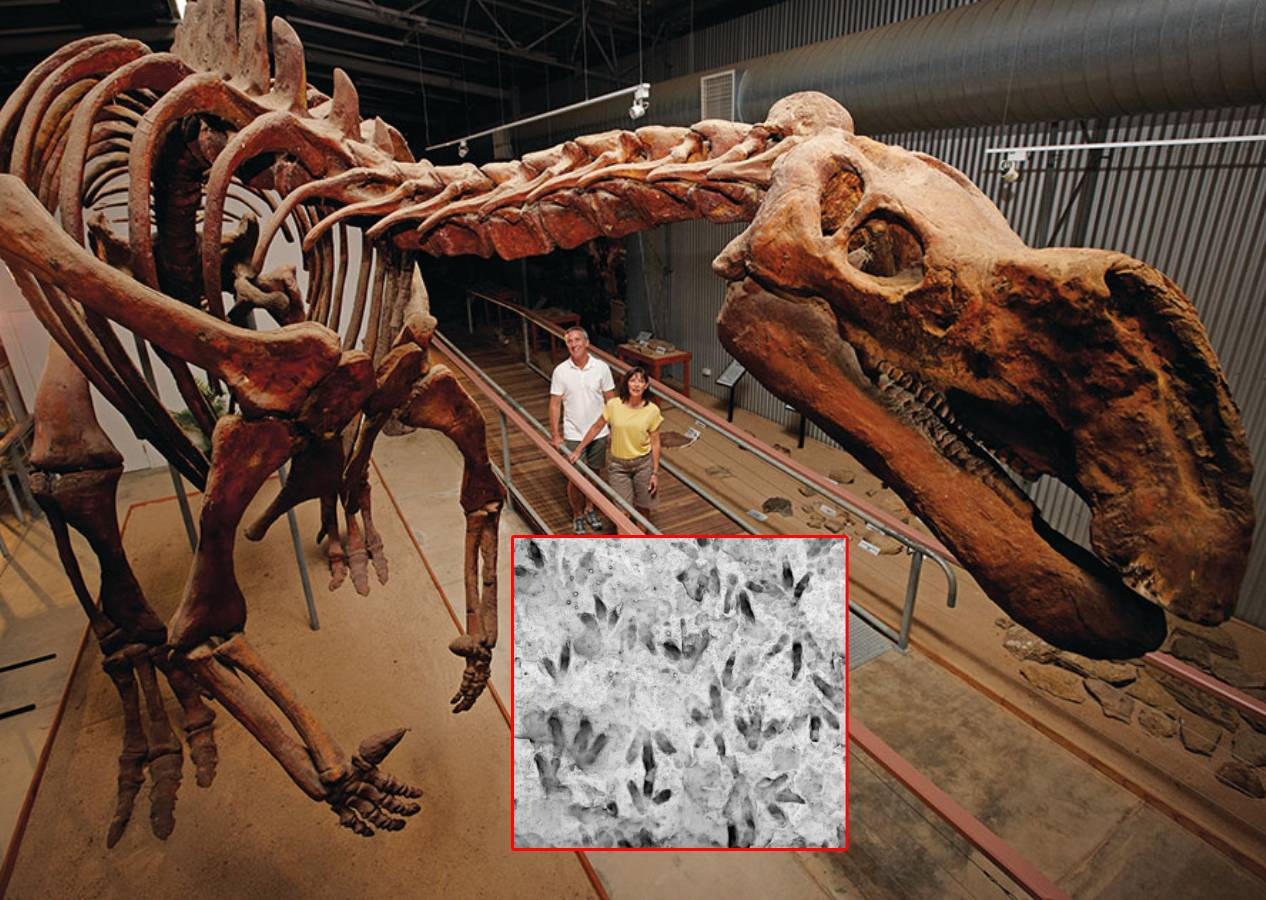 Avustralya'da 200 milyon yıl öncesine ait 66 dinozor ayak izi keşfedildi