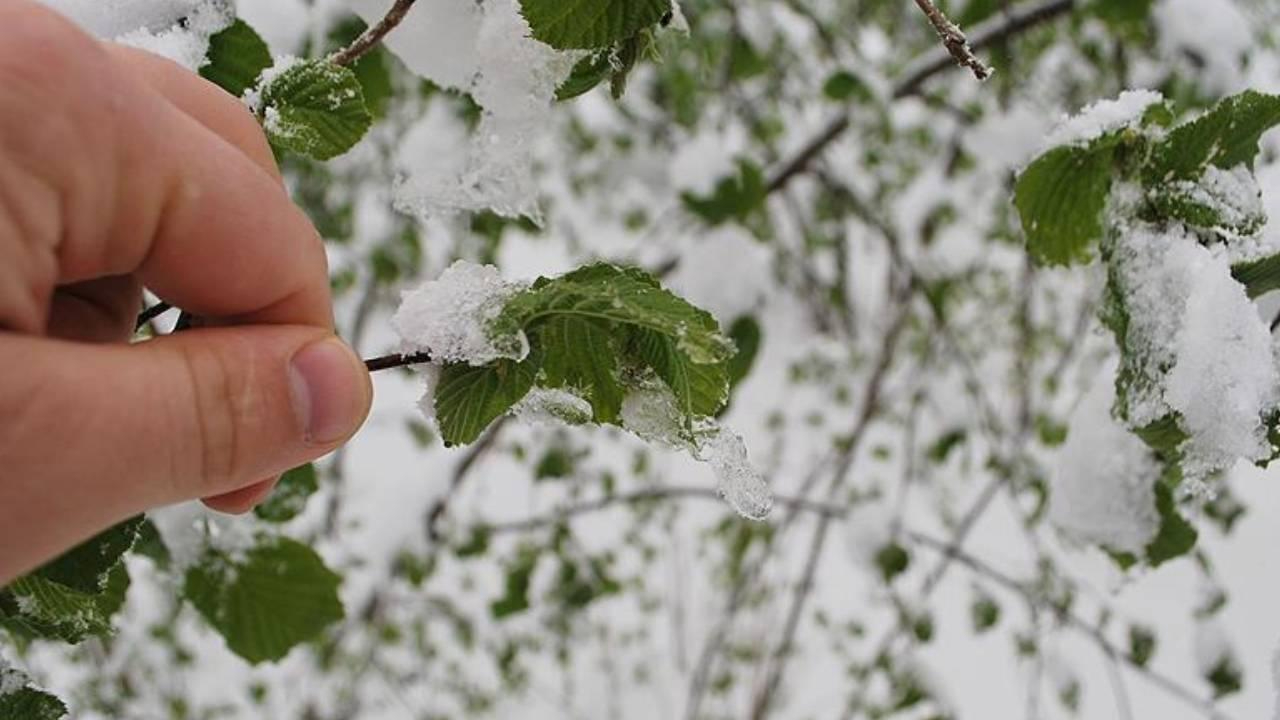 Valilikten vatandaşlara uyarı! Peş peşe çağrı yapıldı...