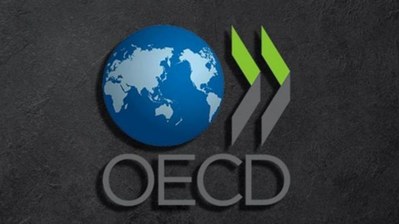 OECD’den Türkiye için bir iyi bir de olumsuz tahmin! Enflasyon ve büyüme tahminini yükseltti
