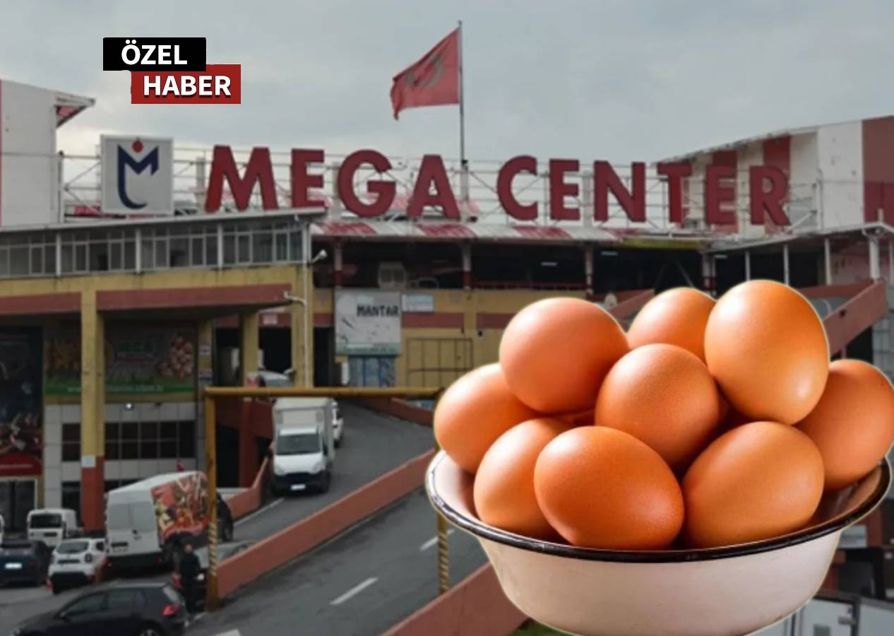 Yumurta mafyası iddiası: Fiyatları kimler belirliyor, kimler yükseltiyor?