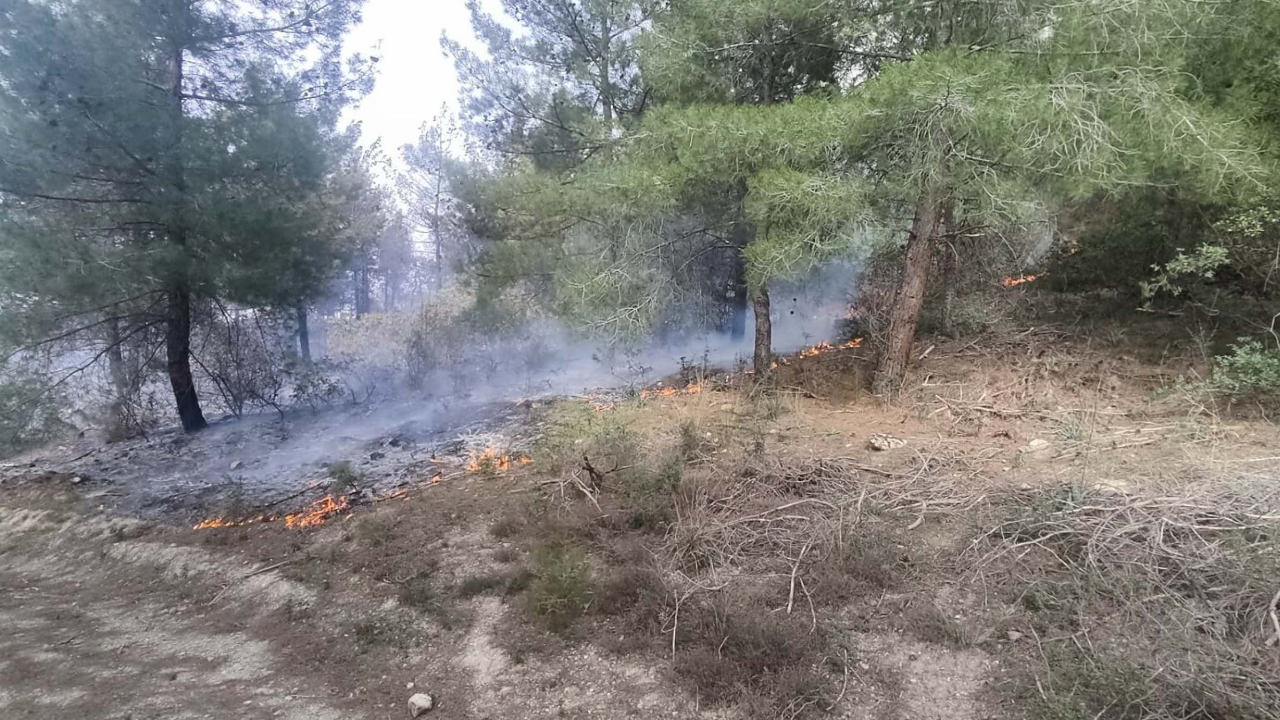 Manisa'da yangın! 1 hektar ormanlık alan yandı...