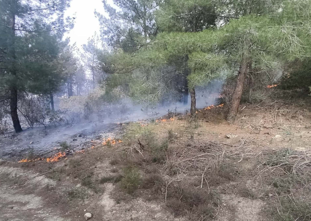 Manisa'da yangın! 1 hektar ormanlık alan yandı...