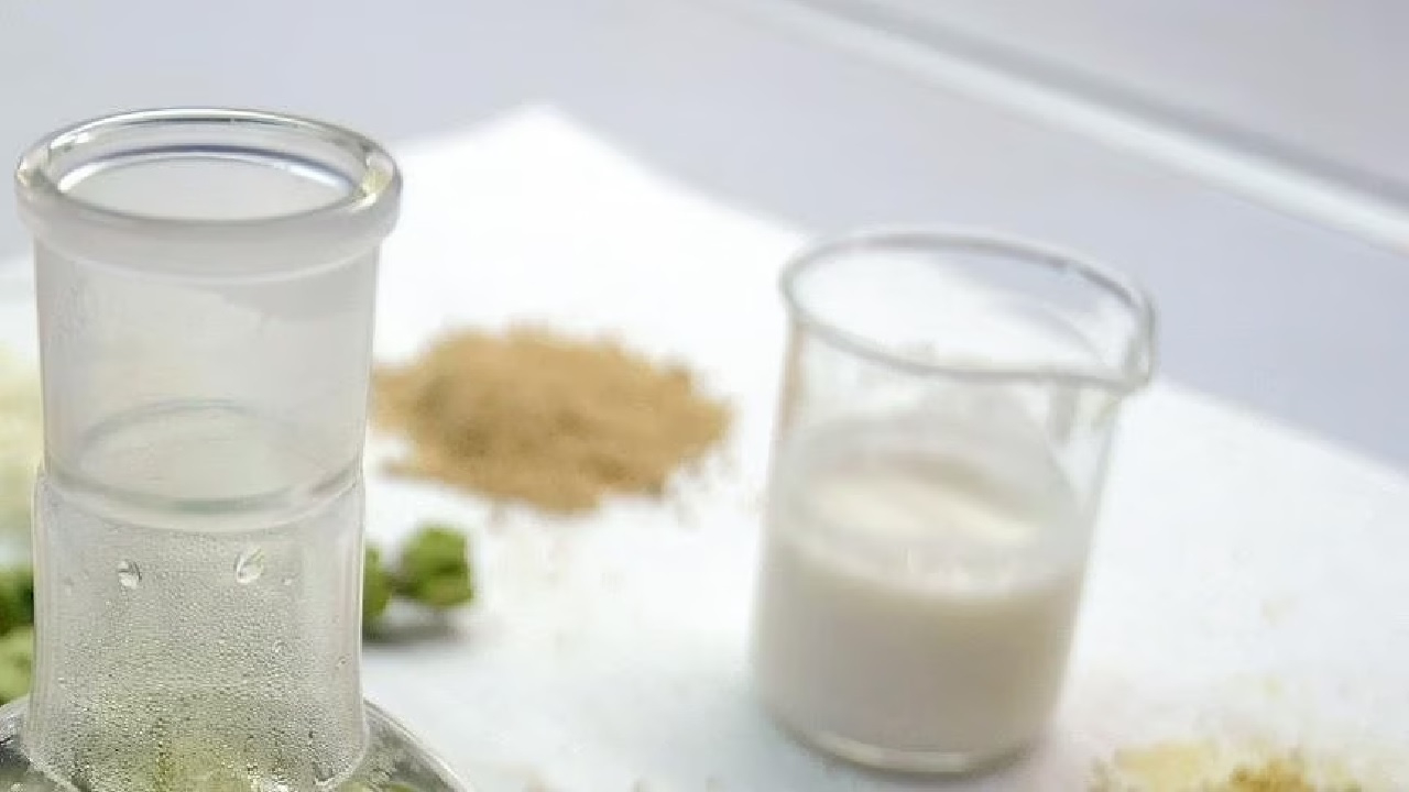 Ramazan'da kefir mucizesi: Sindirimden bağışıklığa birçok fayda sunuyor