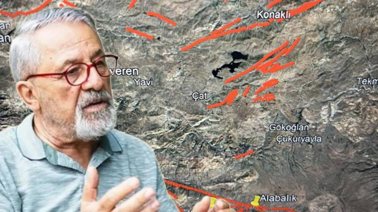 Tercan'daki 4.2'lik deprem sonrası Naci Görür: Ogulveren'de fay hattı gözükmüyor