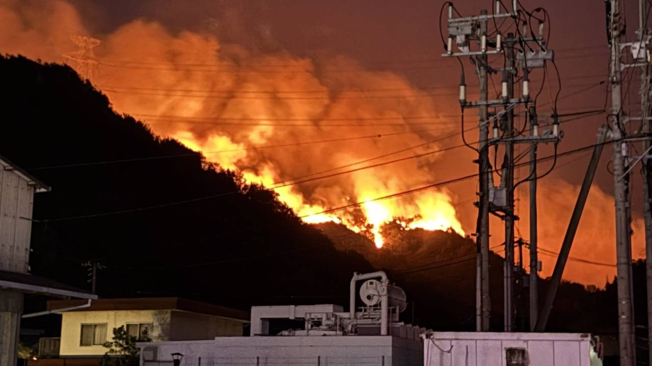 Japonya bir kez daha orman yangınlarına teslim; alevlerle mücadele sürüyor