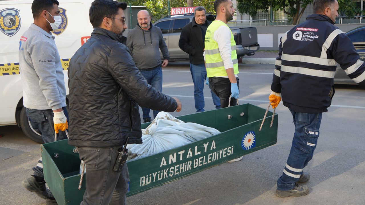 Antalya'da korkunç olay! Gardırobun içinde kendini yakarak hayatına son verdi