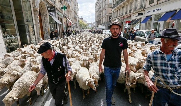 Fransa’da ''Kurt Projesi'' protestosu...