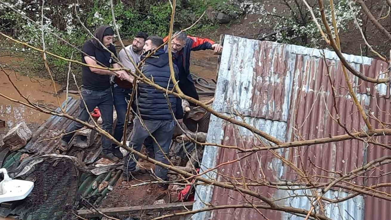 Bingöl’de sağanak felakete dönüştü! Su basan ahırda hayvanlar telef oldu...