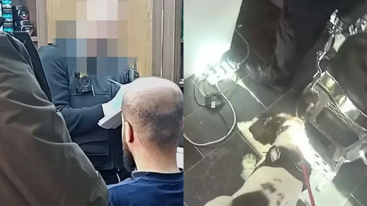 İngiltere'de Türk berberlerine kara para baskını