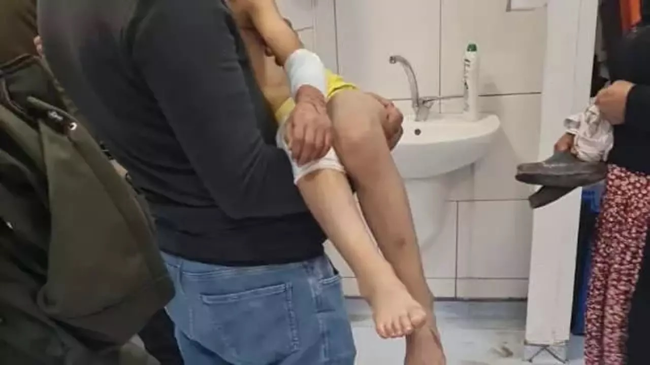 Malatya’da köpekler 9 yaşındaki çocuğa saldırdı! Tedavisi sürüyor...