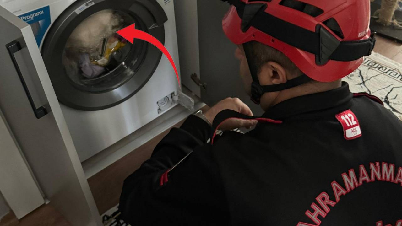 Çamaşır makinesinde mahsur kalan kediyi Kahramanmaraş itfaiyesi kurtardı