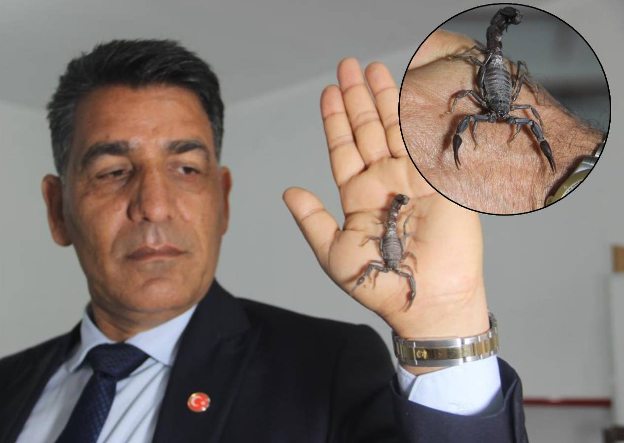 Şanlıurfalı "Akrep Ali" dünyanın en pahalı sıvısını üretiyor: Gramı 10 bin dolar