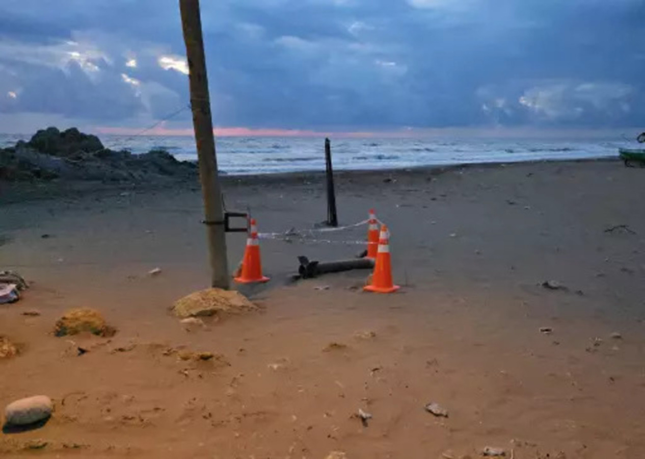 Hatay'da kıyıya vurdu, ekipler anında alarma geçti!