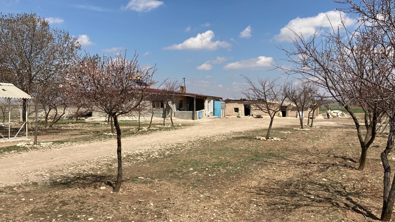 3 yaşındaki kızının boğazını keserek öldürmüştü! O anneye müebbet hapis cezası verildi...