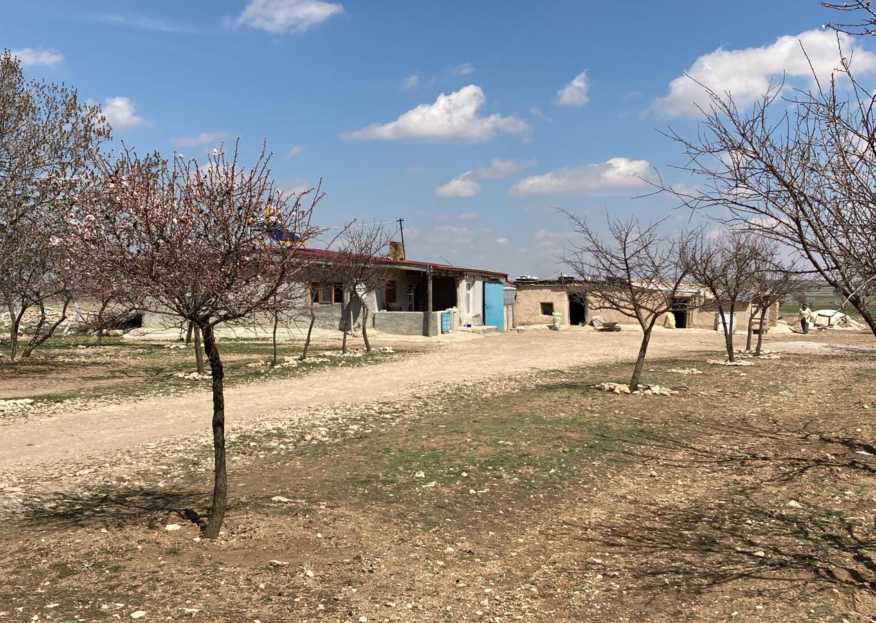 3 yaşındaki kızının boğazını keserek öldürmüştü! O anneye müebbet hapis cezası verildi...