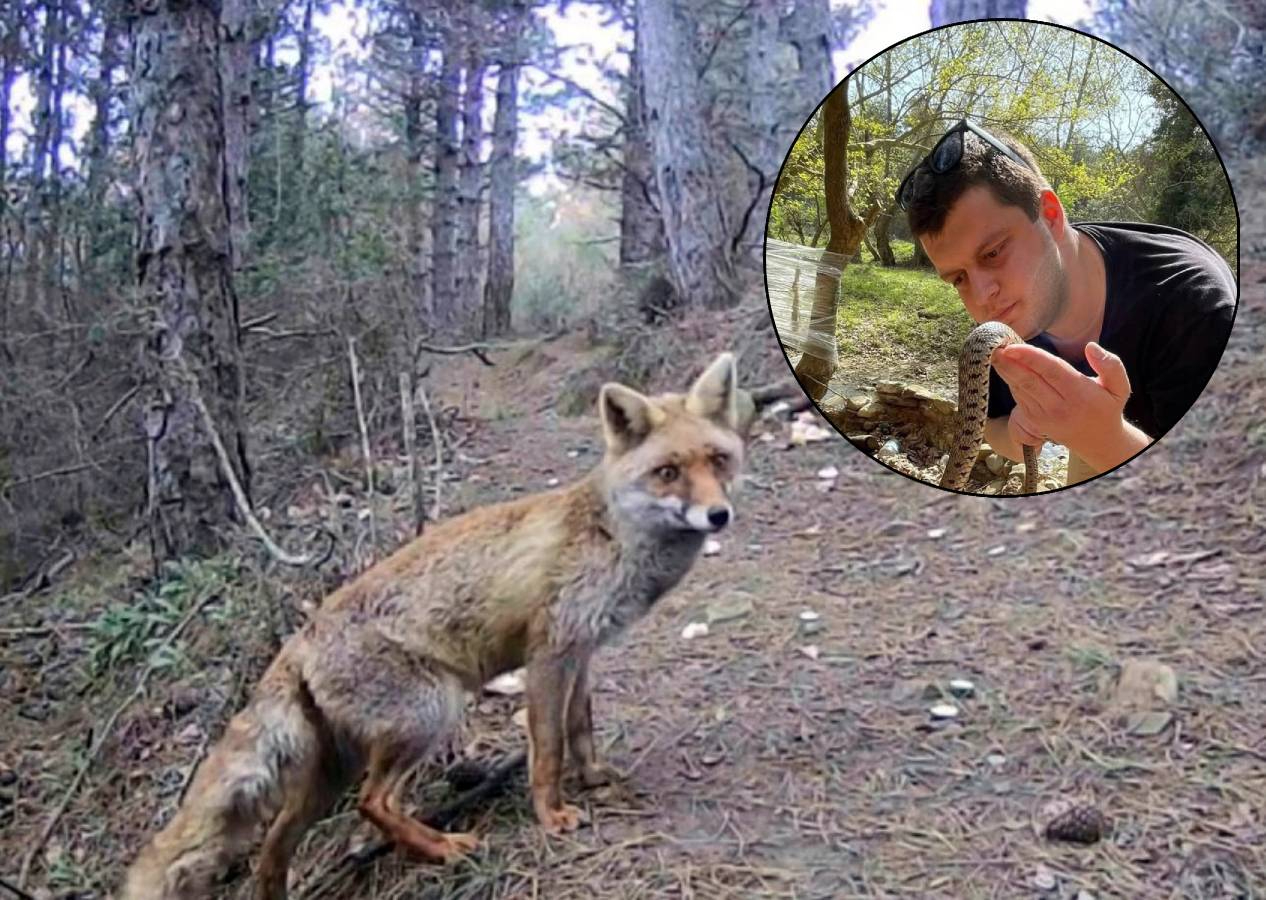 Kurduğu fotokapanlarla 13 yıldır Trakya’daki yaban hayatı kayıt altına alıyor