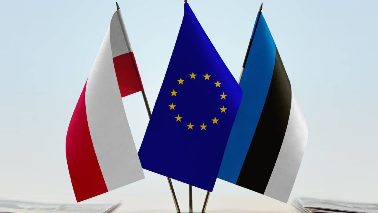 Polonya ve Estonya'dan NATO üyelerine savunma bütçelerini artırma çağrısı