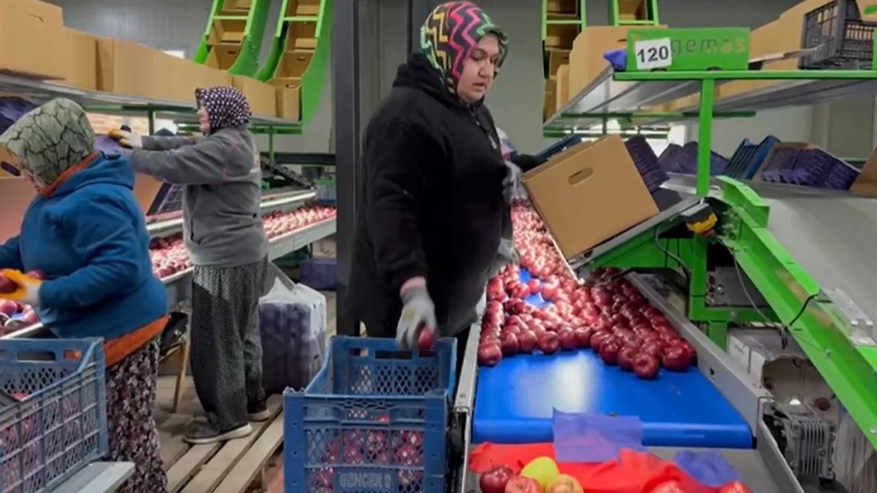Eğirdir’de organik elma devrimi: Türkiye’nin bir numaralı ilçesinden yeni hedef