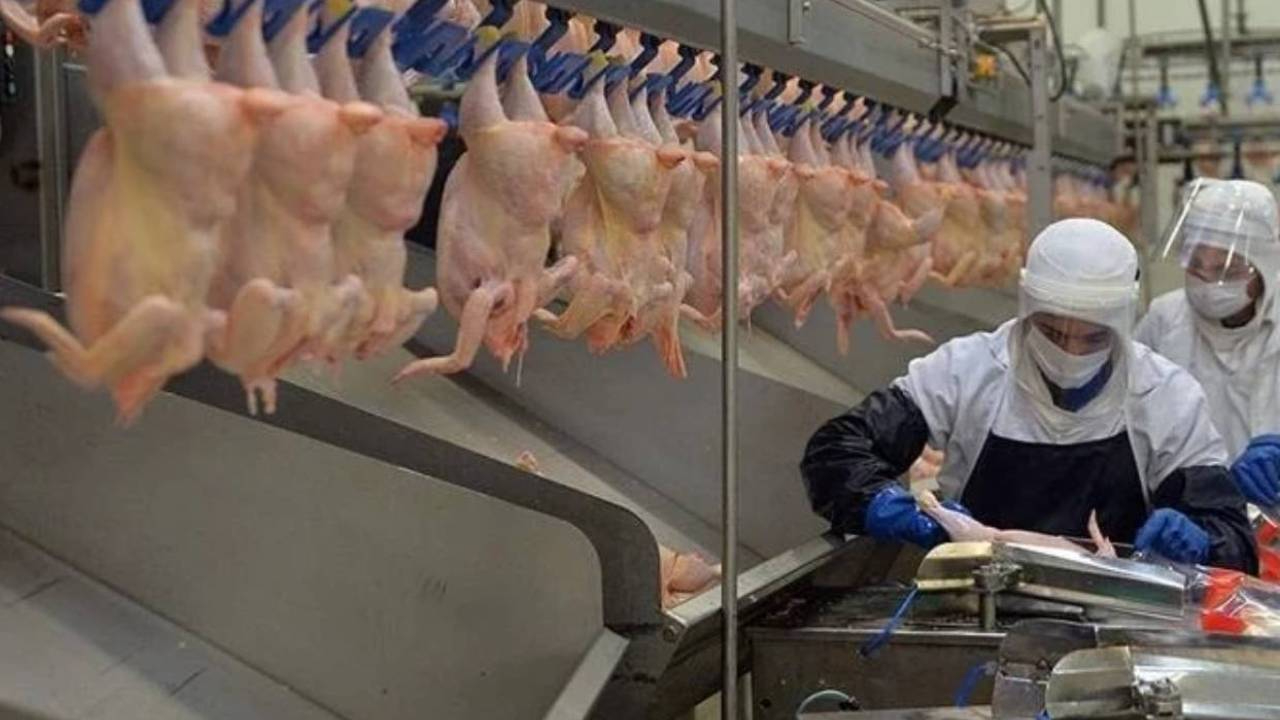 Şenpiliç'in 'Annemin Köftesi Piliç Kasap Köfte' ürününde ölümcül bakteri! Ürünler toplatılıyor....