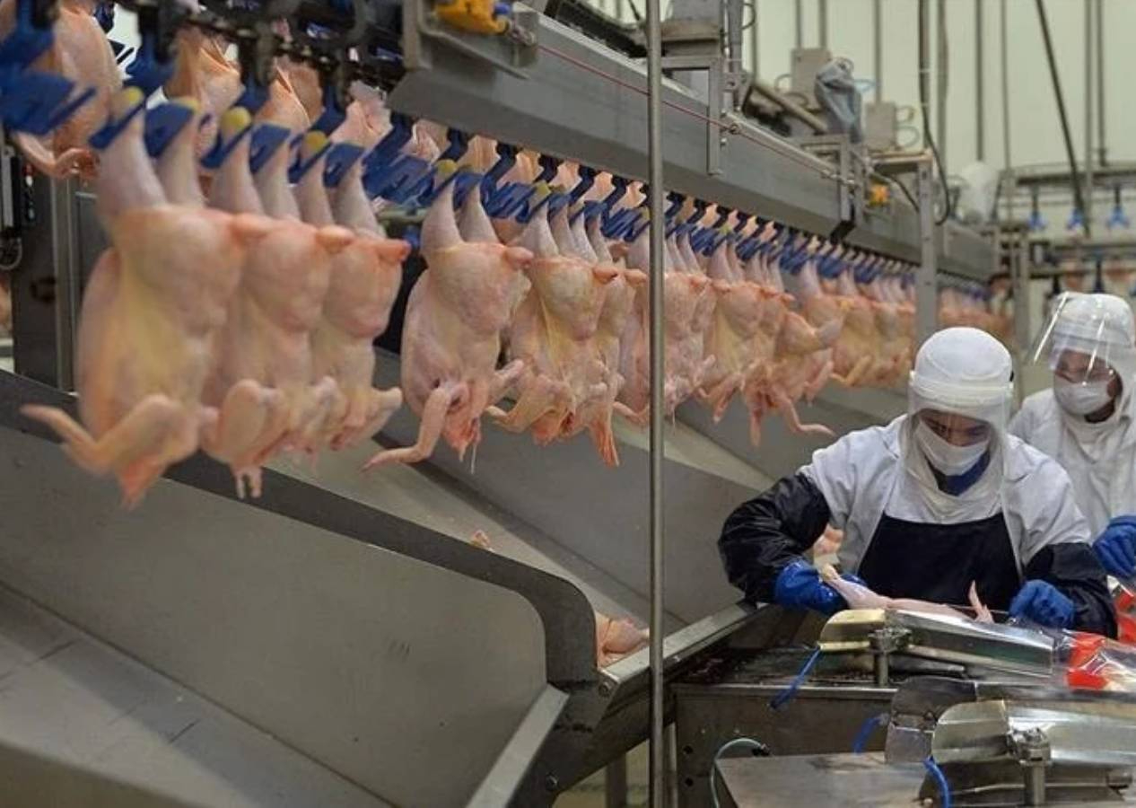 Şenpiliç'in 'Annemin Köftesi Piliç Kasap Köfte' ürününde ölümcül bakteri! Ürünler toplatılıyor....