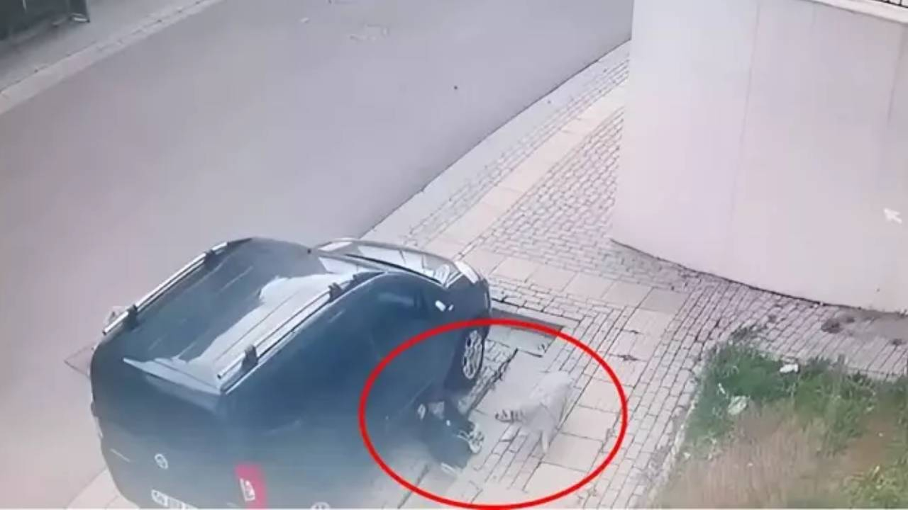 Başıboş köpekler, okuldan çıkan 10 yaşındaki çocuğa saldırdı