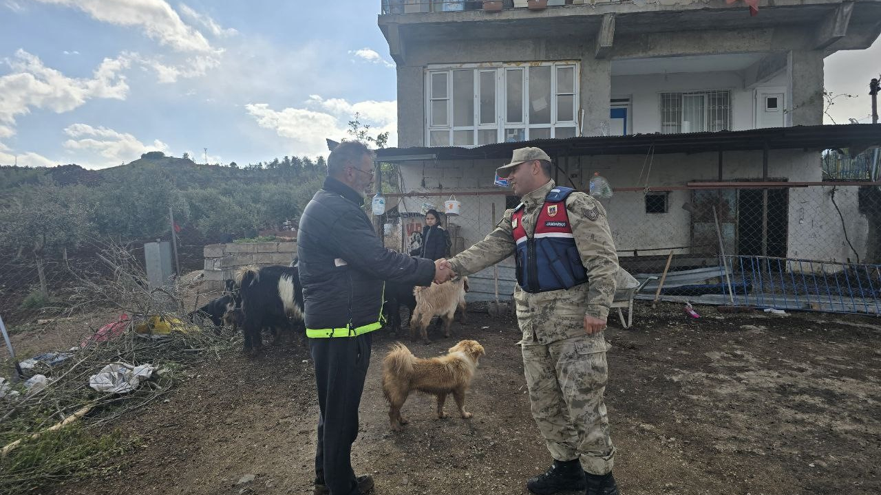 Koyun sürüsü ormana kaçmış, 4 kilometre uzakta jandarma buldu