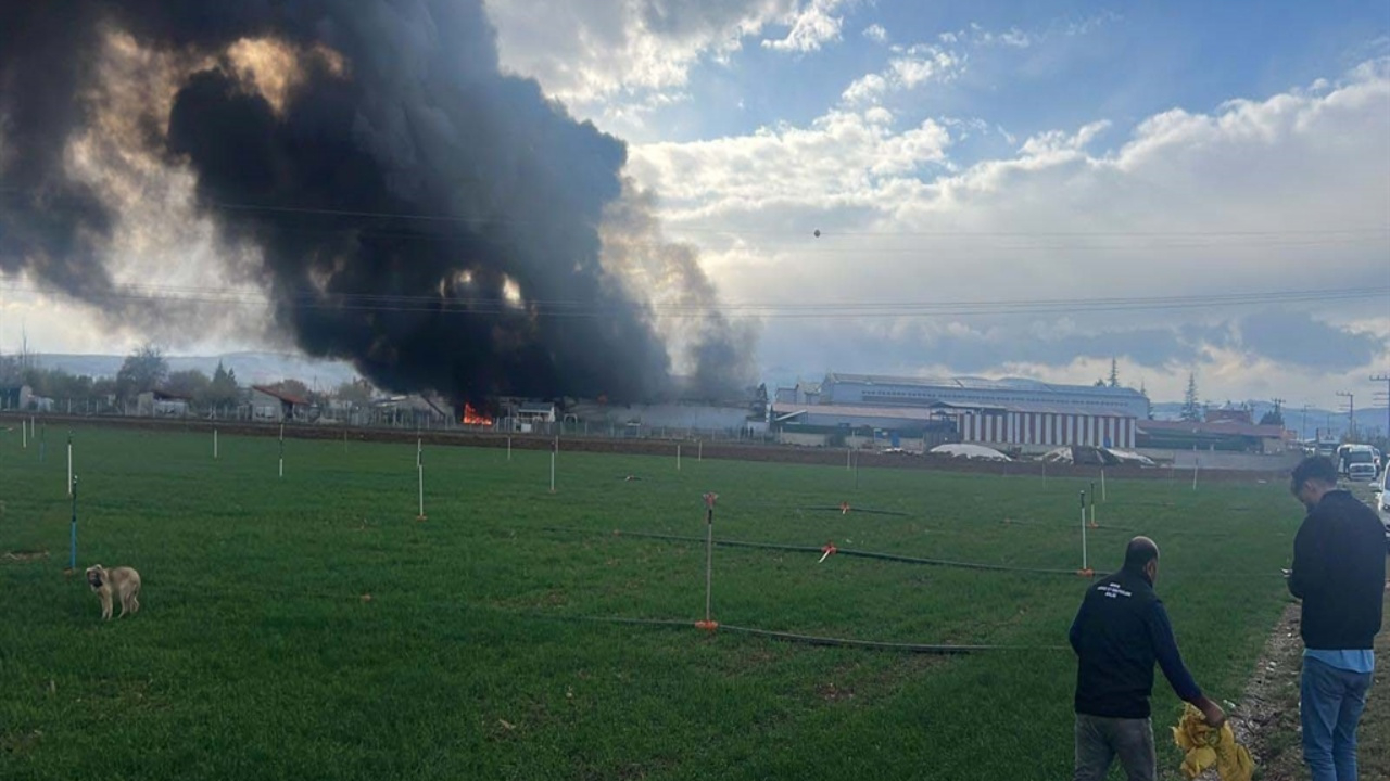 Konya’da tavuk çiftliğinde yangın: Kıvılcımlar alevlendirdi