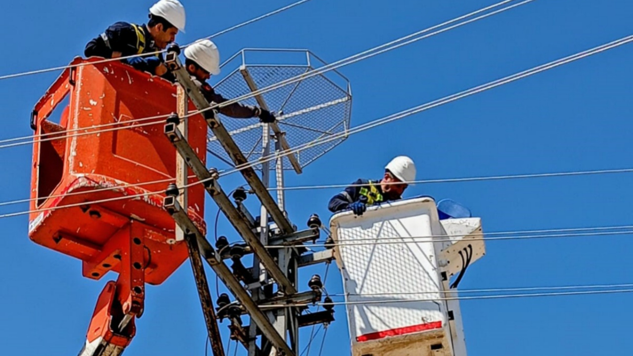 Edirne’de leylekler için elektrik direklerine özel yuvalar kuruldu