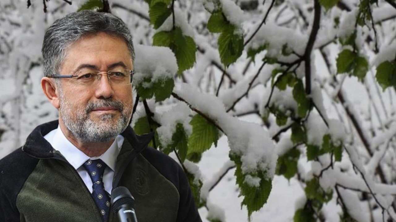 Tarım ve Orman Bakanı İbrahim Yumaklı açıkladı: Zirai don sonrası stratejik ürünlerde durum nasıl?