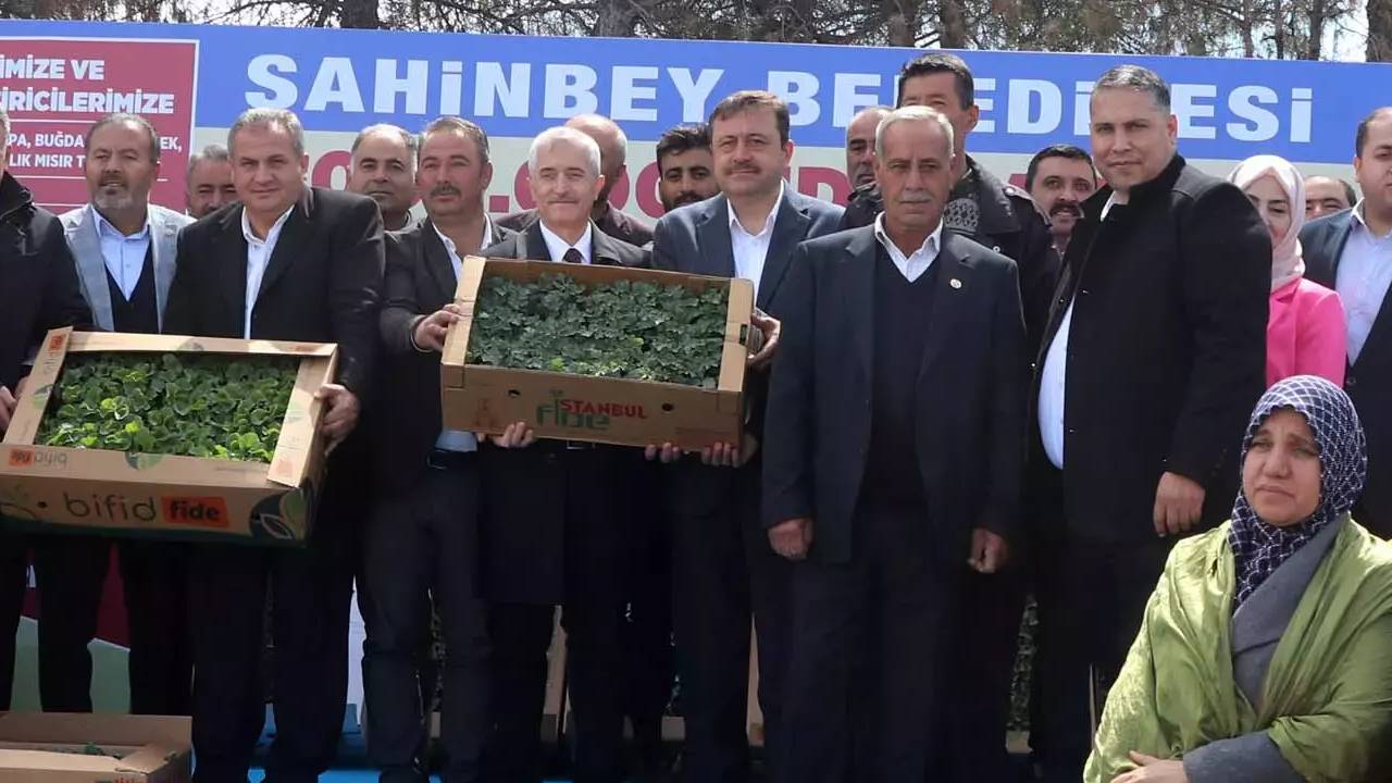 Şahinbey Belediyesi tarımsal destek kapsamında bu yıl çiftçilere 7 milyon sebze ve meyve fide dağıtımı yaptı