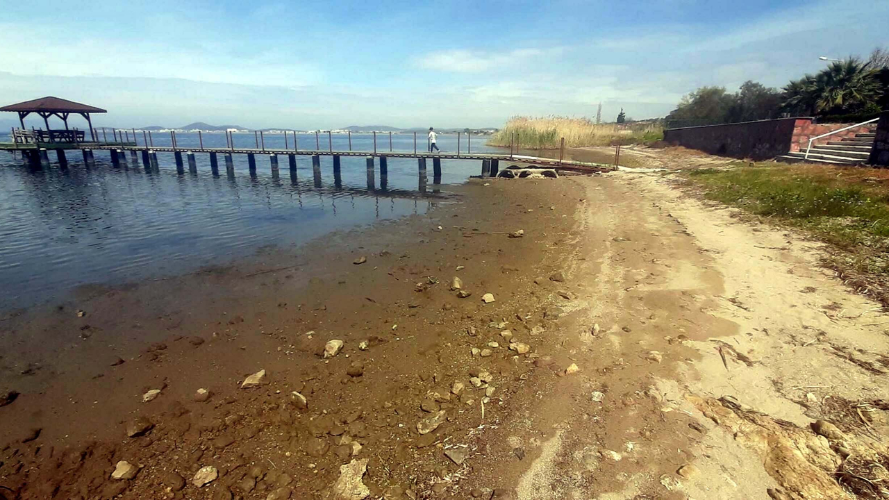 Ayvalık'ta deniz yaklaşık 15 metre çekildi, kıyıdaki yosun ve deniz canlıları yüzeye çıktı