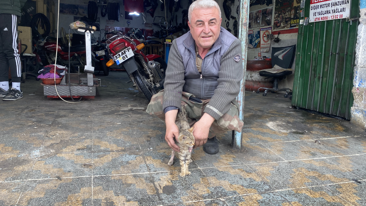 Dünyayı kediler yönetsin! Manisalı esnaf iş yerine gelen yaralı kediyi sahiplendi, tedavi ettirdi