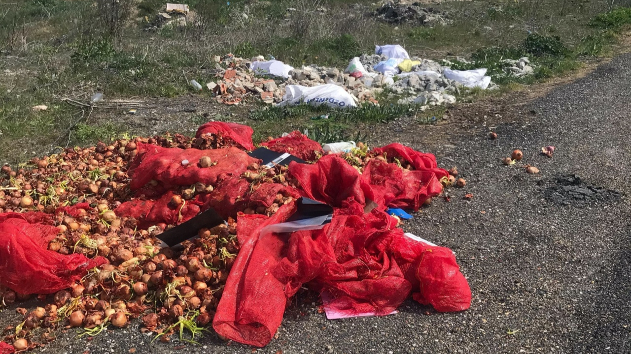 Tekirdağ’da soğan israfı öfke yarattı! Yol kenarına dökülen çuvallar tepki çekti