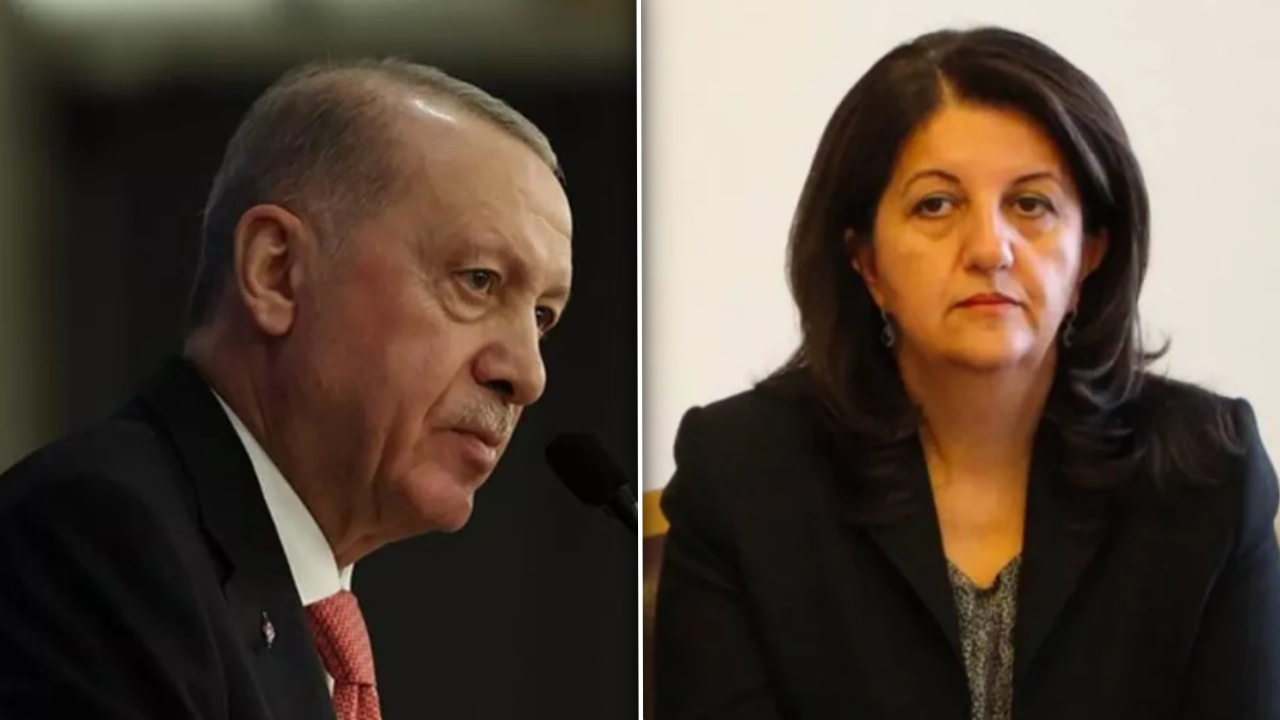 Cumhurbaşkanı Erdoğan, Pervin Buldan'ı aradı: Sırrı Süreyya Önder için ne gerekiyorsa yapılacak!