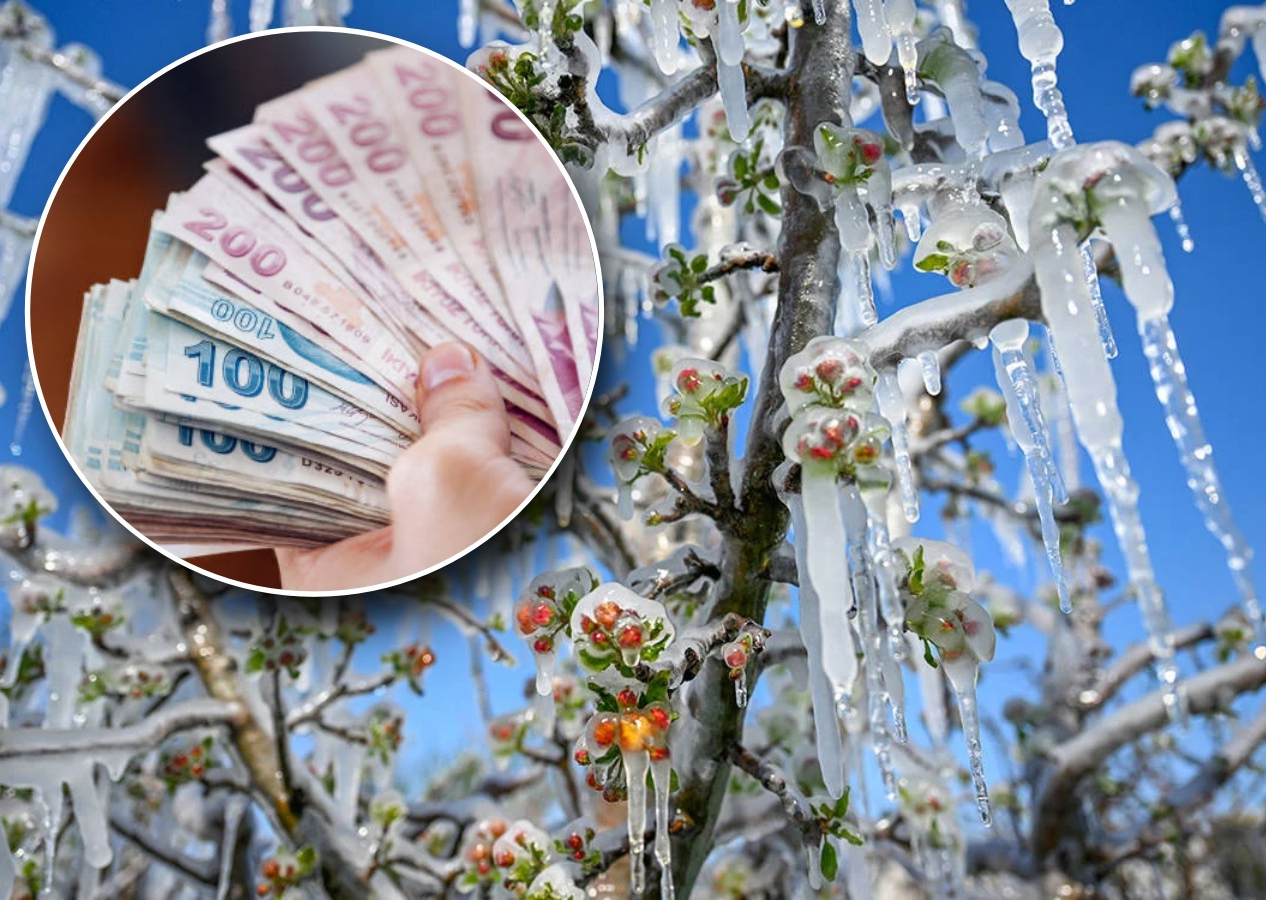 Zirai felaket için seferberlik! Ödemeler hemen yapılacak: Faizsiz kredi yolda... Günün gazete manşetleri