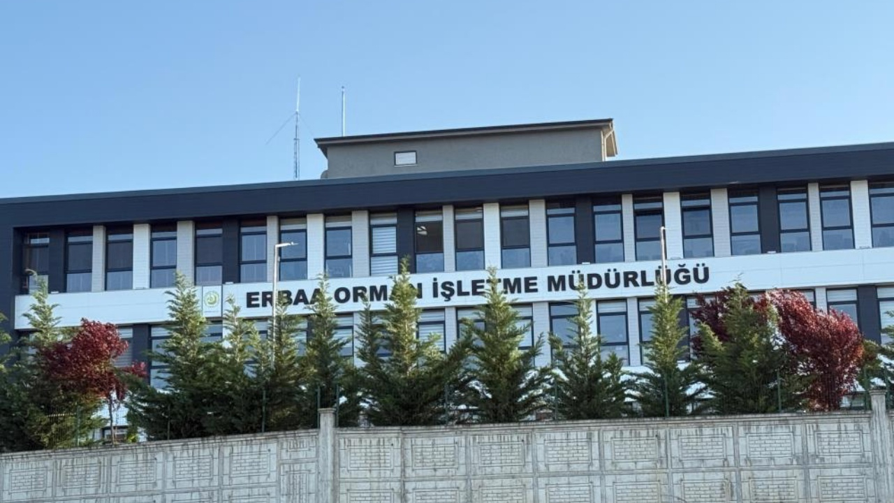 Tokat Erbaa’da orman ihalelerinde yolsuzluk skandalı: 7 personel gözaltında