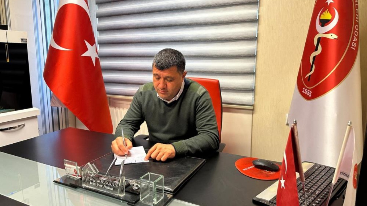 Kayseri’de mevsimsel hayvan hastalıkları alarmı: Aşı ve kene uyarısı