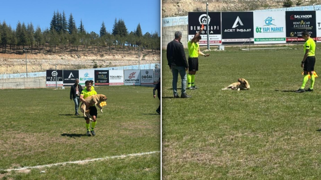 Beyşehir’de maçta köpek sürprizi: Hakem kırmızı kart gösterdi