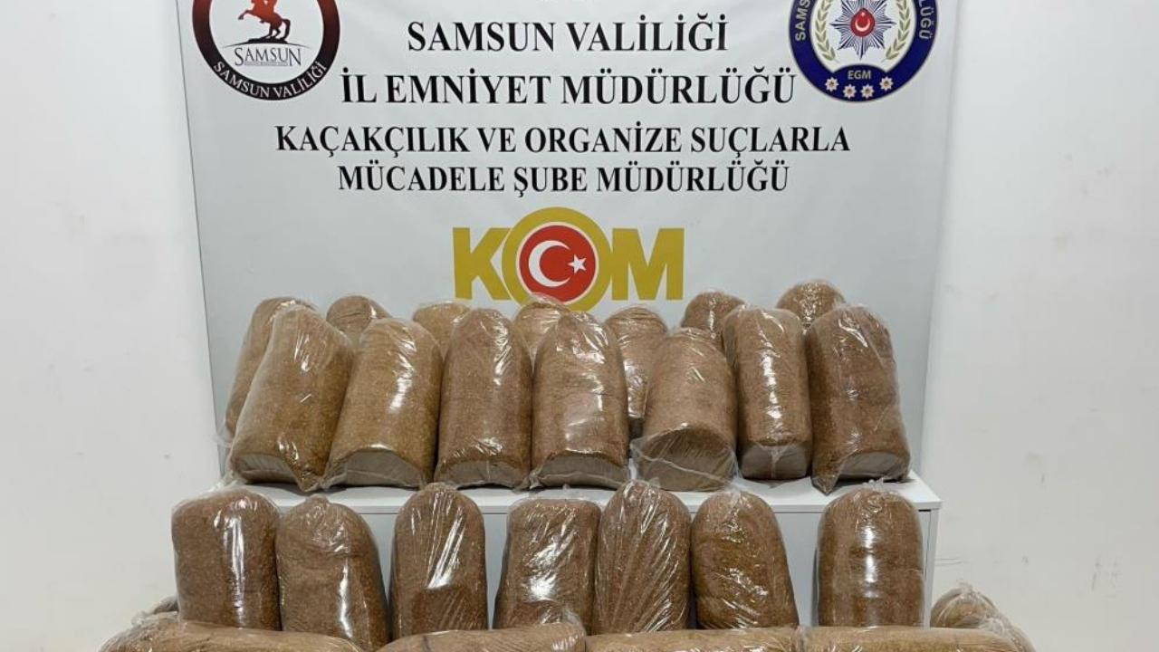 Samsun’da kaçak tütüne polis darbesi: 240 kilo ele geçirildi!