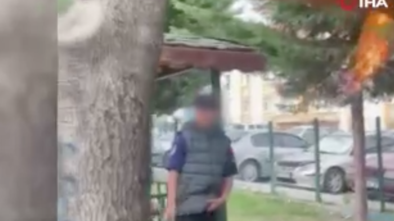 Ankara’da şok eden görüntüler! Çocuklar ağacı yakıp eğlendi, o anlar kamerada!