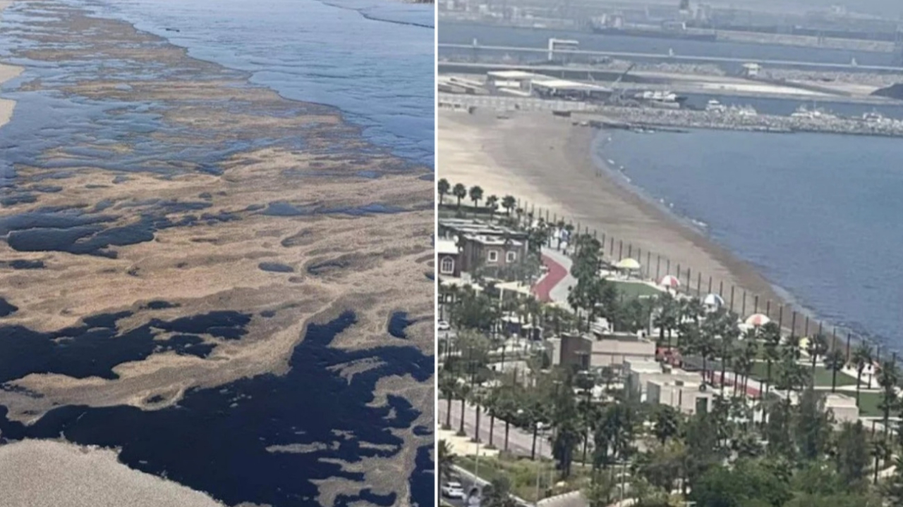 Birleşik Arap Emirlikleri’nde petrol sızıntısı krizi: Plajlar kapandı, turistler isyanda!
