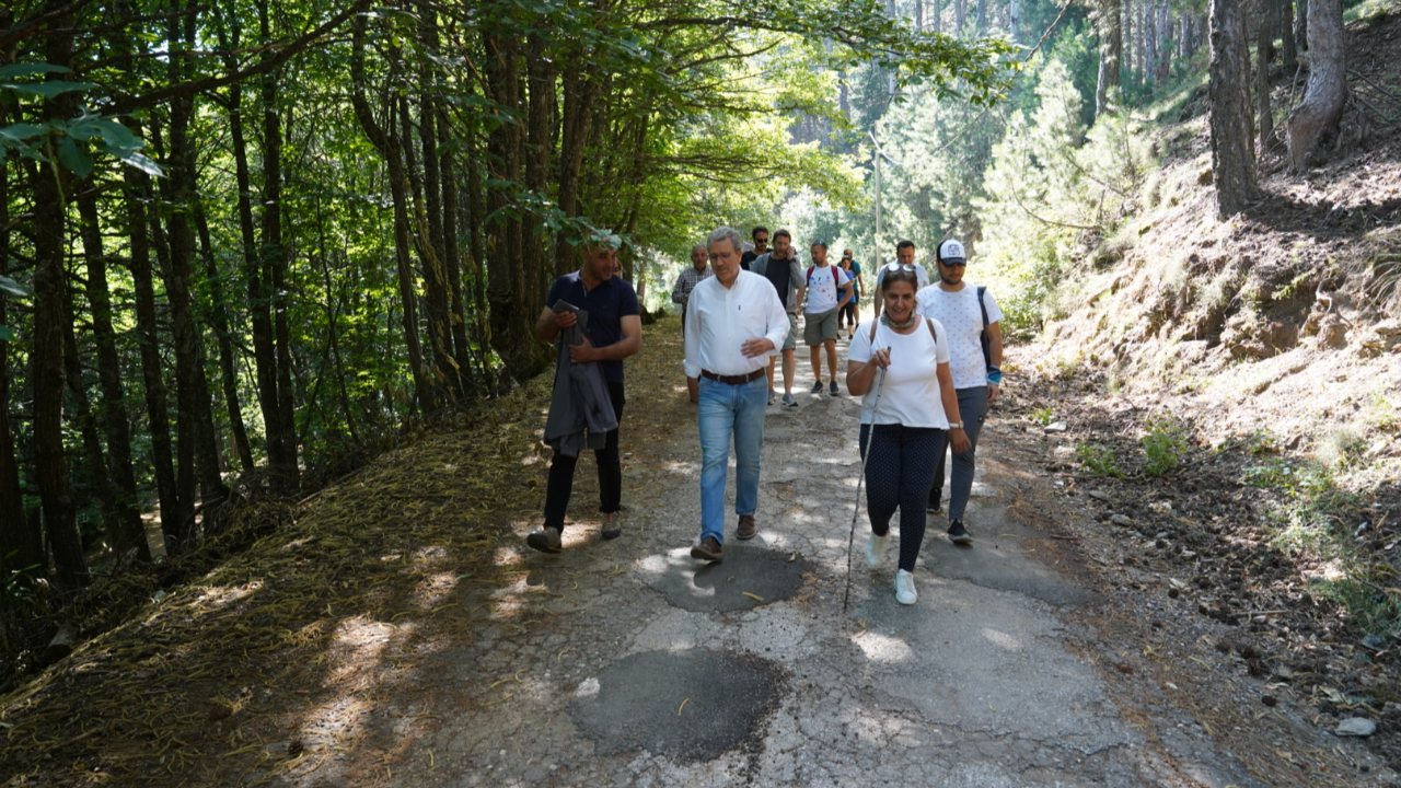 Efeler yolu nerede? Avrupa Konseyi Kültür Rotaları ağına dahil edildi