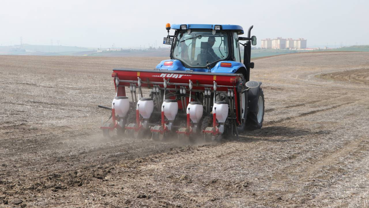 Tekirdağ'da ayçiçeğinin kuraklığa karşı dayanıklılığı için anıza ekim yapılıyor