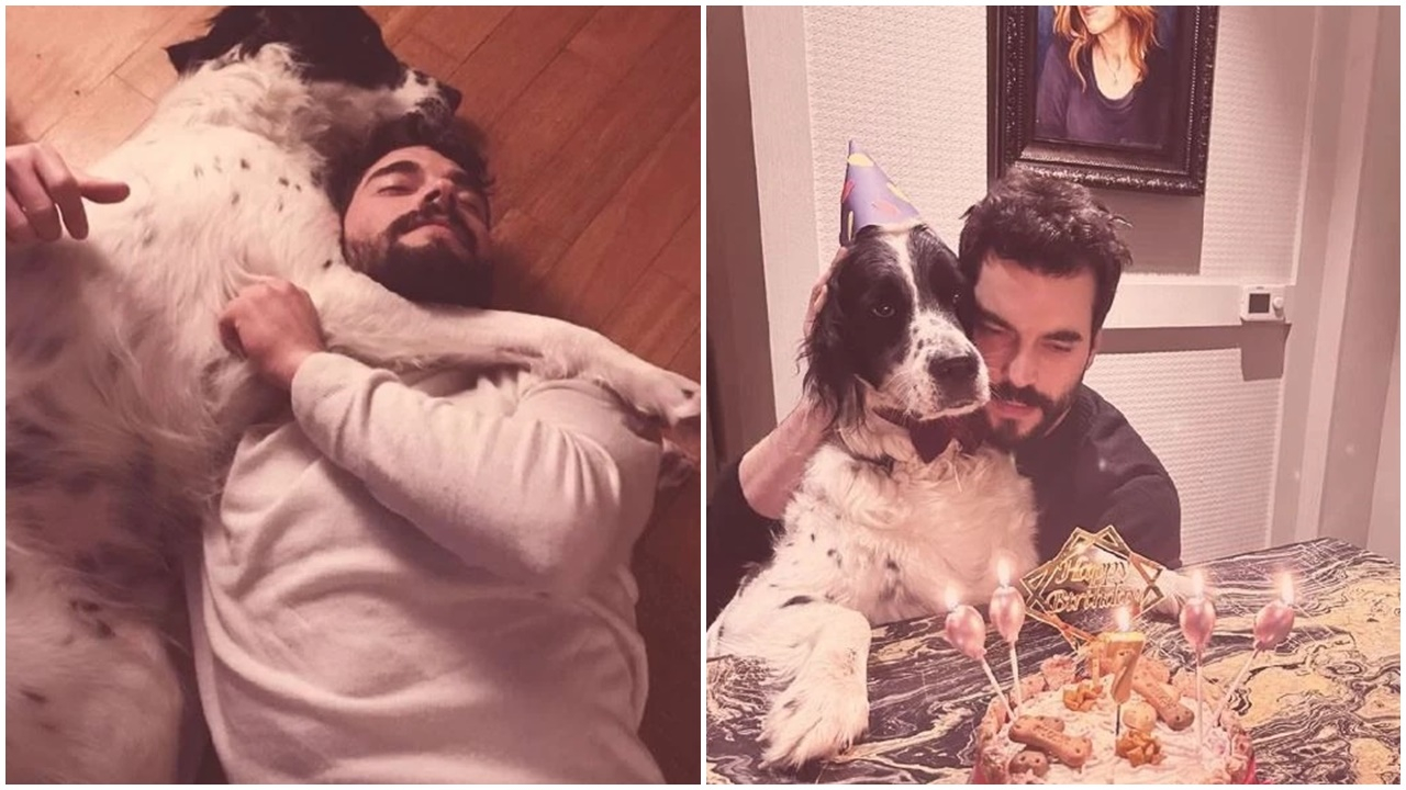 Akın Akınözü köpeğinin doğum gününü kutladı! ''Bir boşluğua dokundun sen''