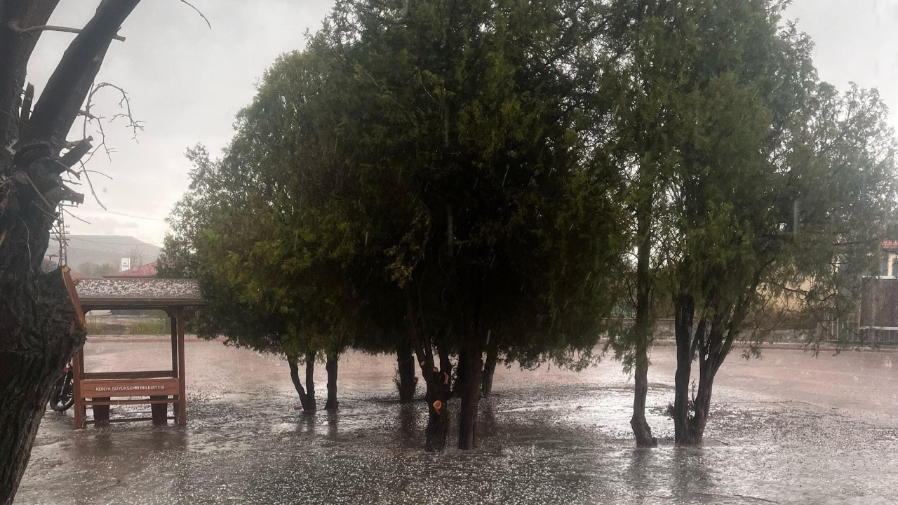 Konya’da dolu alarmı! Hububatta kök hastalığı riski artıyor